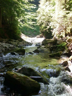 Allgäu-Schullandheim in Niedersonthofen/See