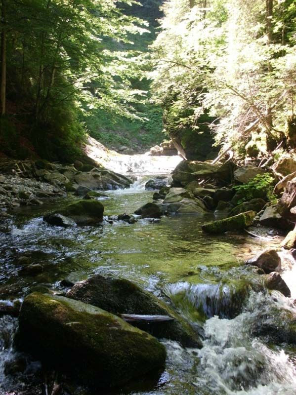 Allgäu-Schullandheim in Niedersonthofen/See