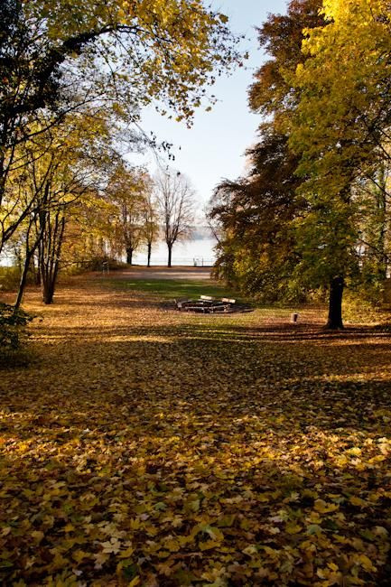 Schullandheim Blumenfisch