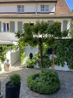 Schullandheim Murmeltier