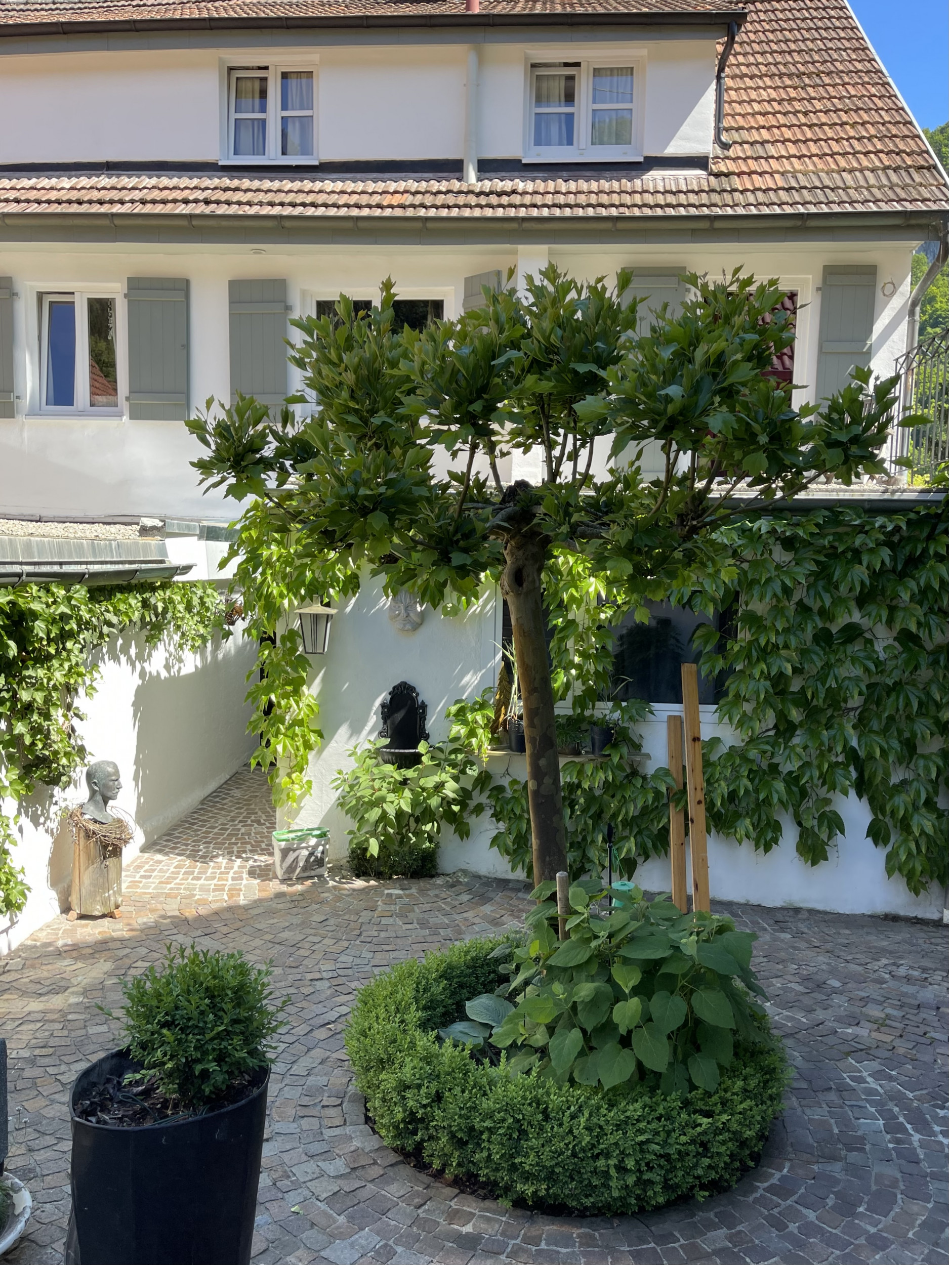 Schullandheim Murmeltier