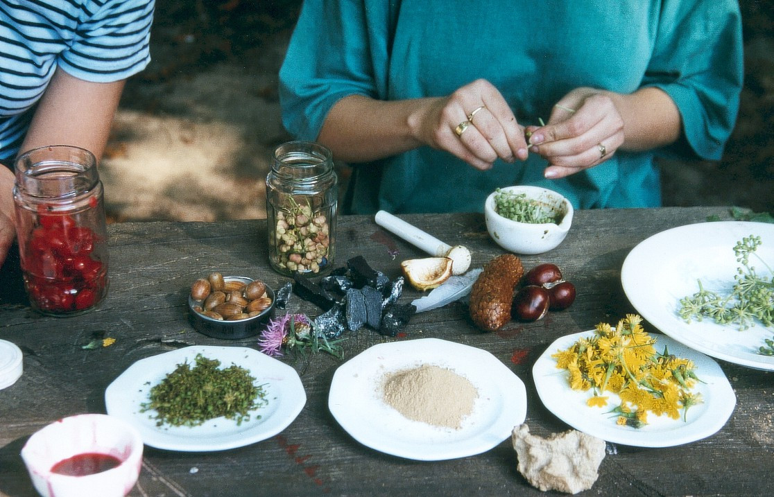Landheim Tellkampfschule e.V.