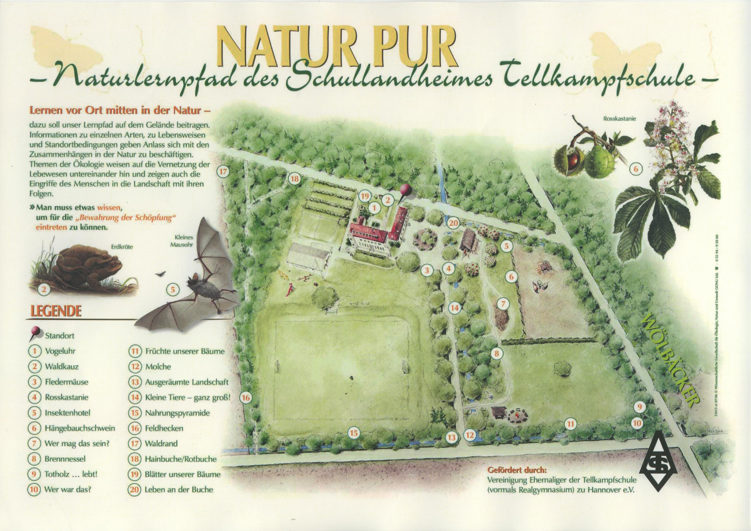 Landheim Tellkampfschule e.V.