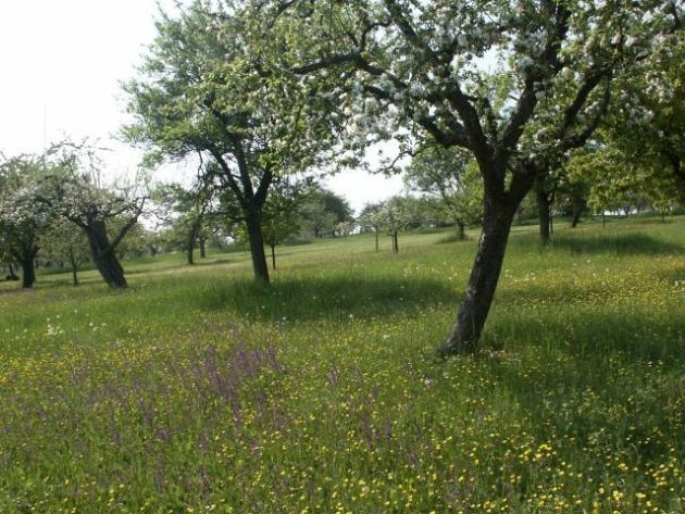 Naturschule Stromberg