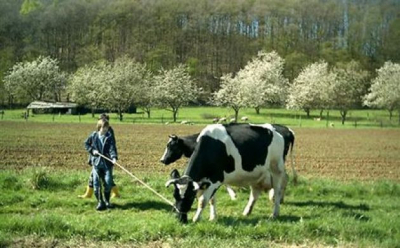 Schulbauernhof Hutzelberg