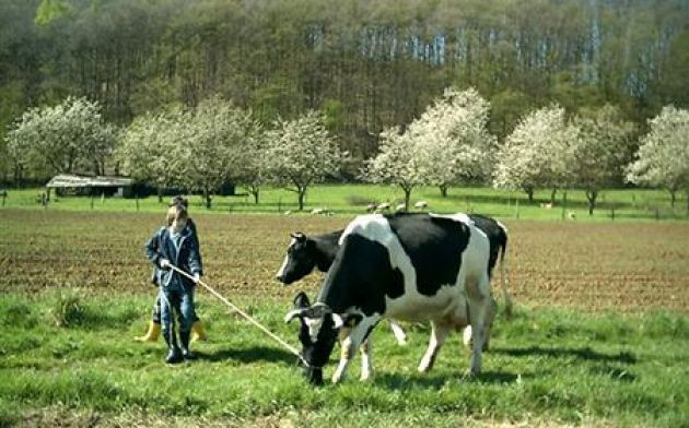 Schulbauernhof Hutzelberg