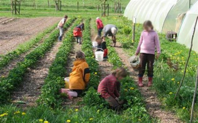 Schulbauernhof Hutzelberg