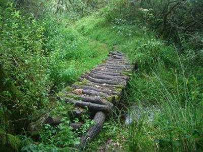 Naturfreundehaus Berg