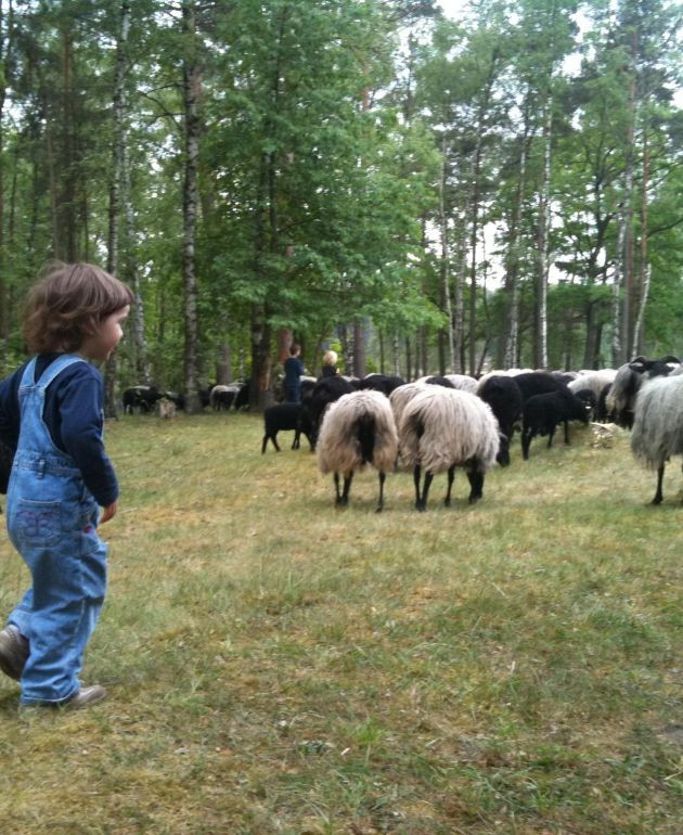 Schullandheim am Scharlbarg e.V. c/o Gymnasium Ohmoor