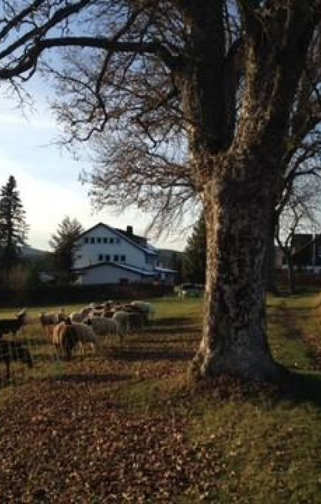 Freizeit- und Schullandheim Sonnhalde