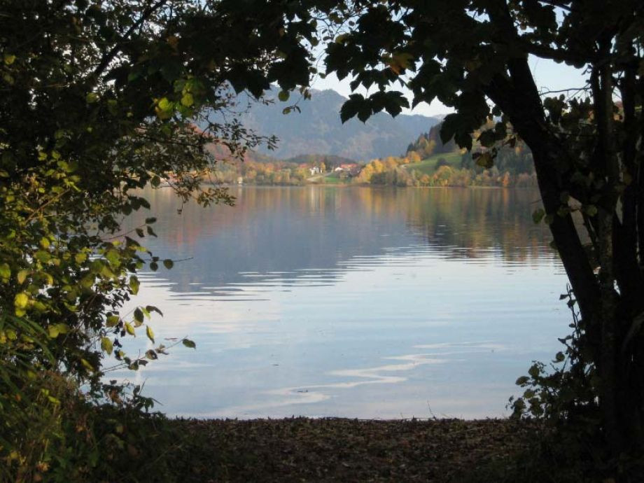 Alpseehof