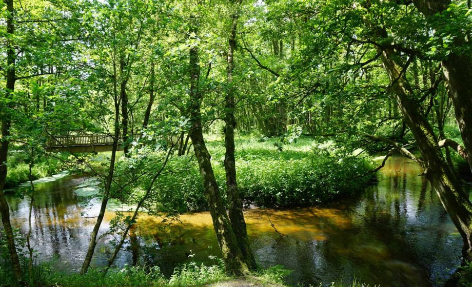Schullandheim Estetal