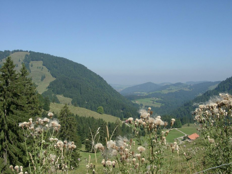 Allgäuer Schulmolkerei Wangen Schullandheim