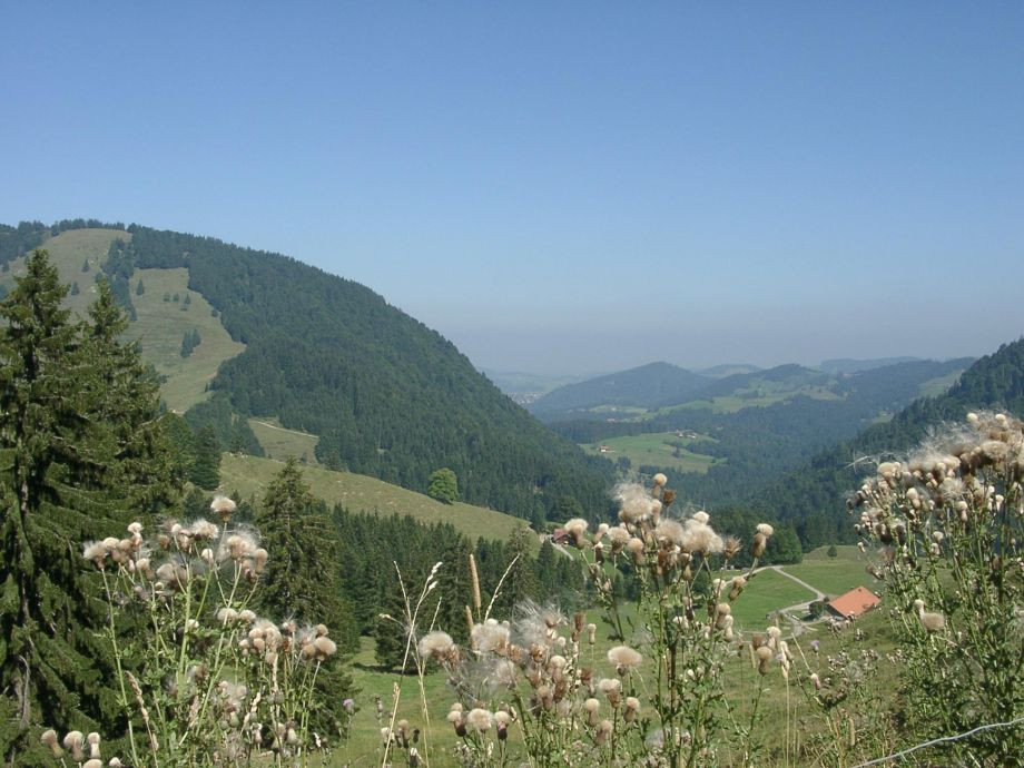 Allgäuer Schulmolkerei Wangen Schullandheim