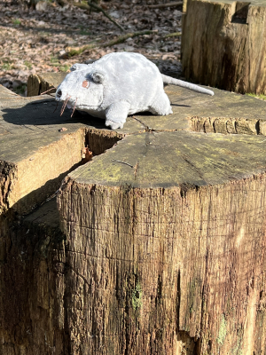 Schullandheim Heideheim