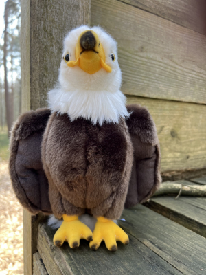 Schullandheim Heideheim