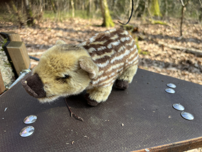 Schullandheim Heideheim