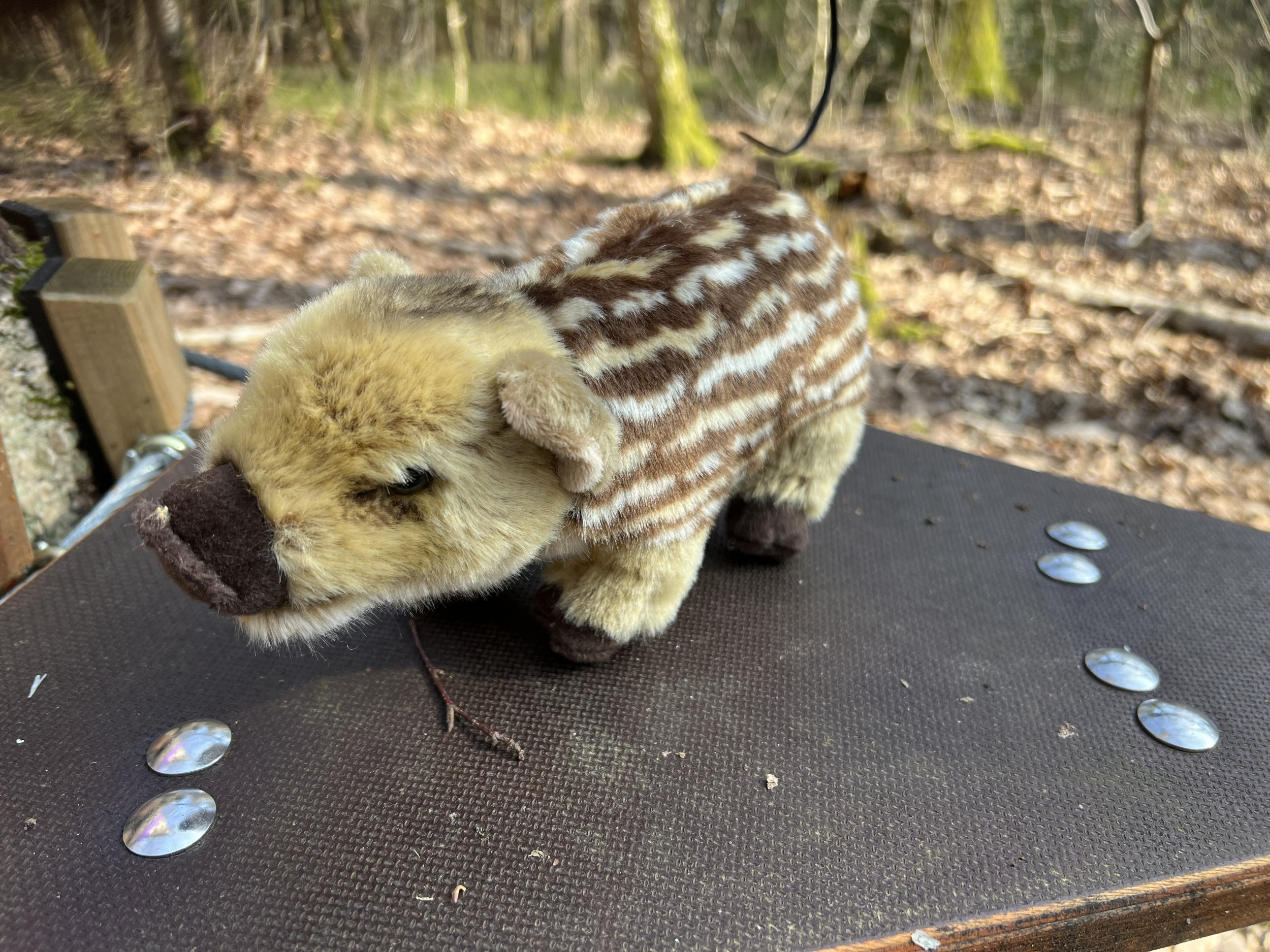 Schullandheim Heideheim