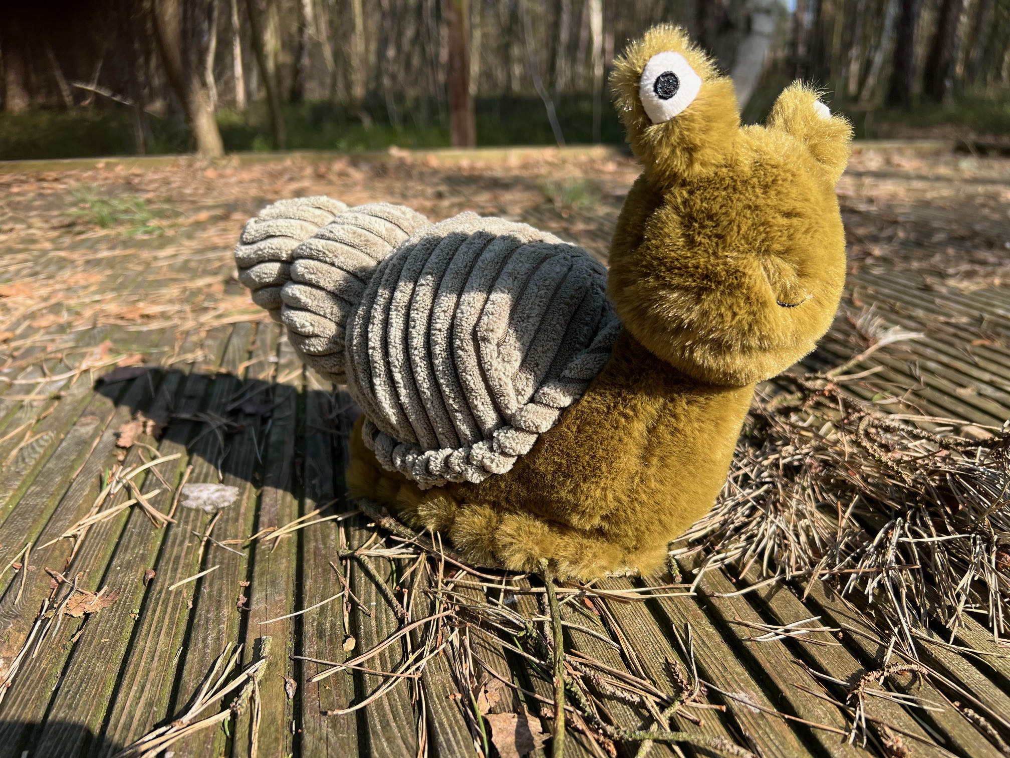 Schullandheim Heideheim