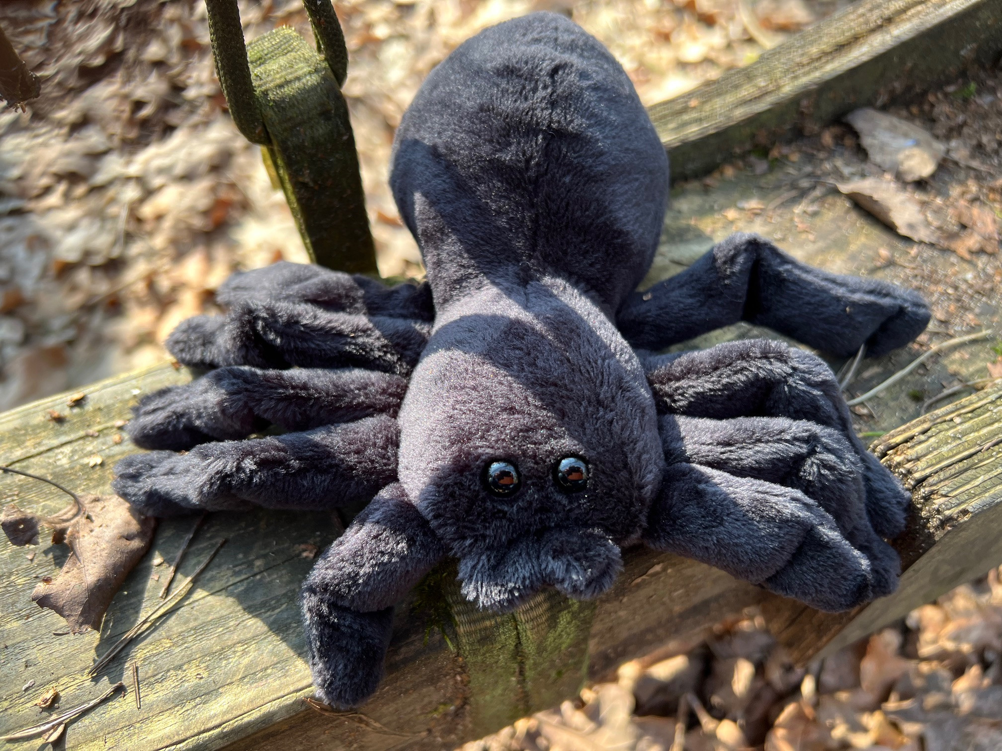 Schullandheim Heideheim