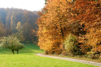 das Kreuzle
