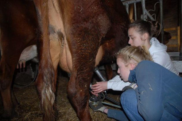 Internationaler Schulbauernhof Hardegsen
