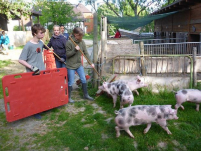 Internationaler Schulbauernhof Hardegsen