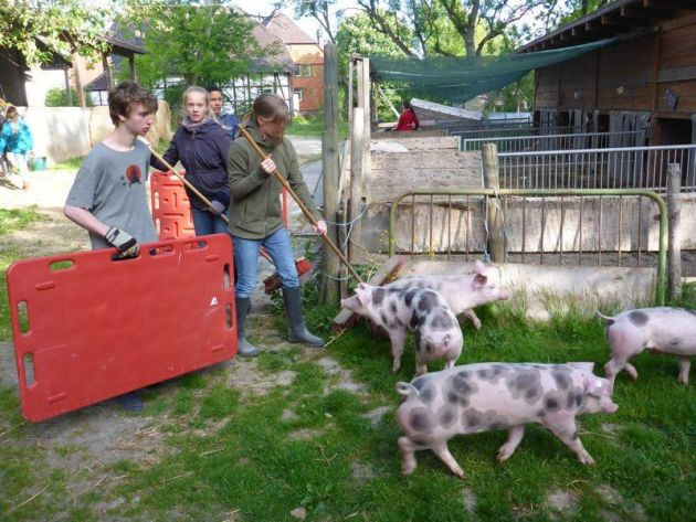 Internationaler Schulbauernhof Hardegsen