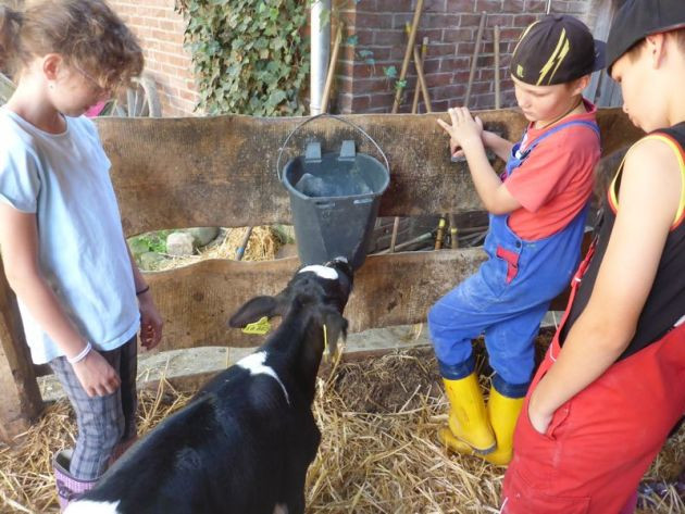 Internationaler Schulbauernhof Hardegsen