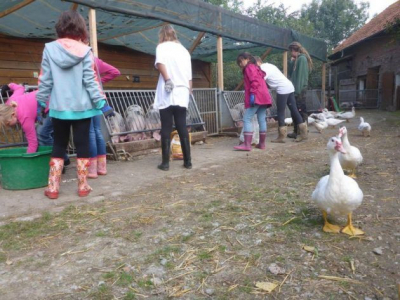 Internationaler Schulbauernhof Hardegsen