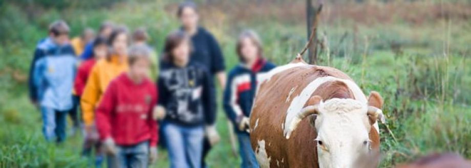 Internationaler Schulbauernhof Hardegsen