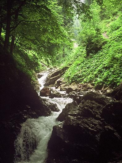 Schullandheim Gschwender Hof