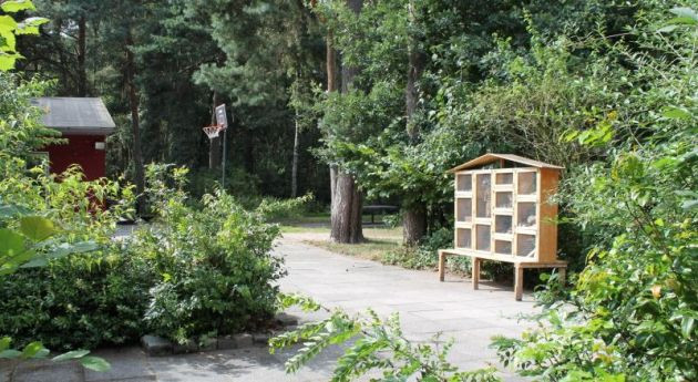 Schullandheim Gerdshütte e.V.