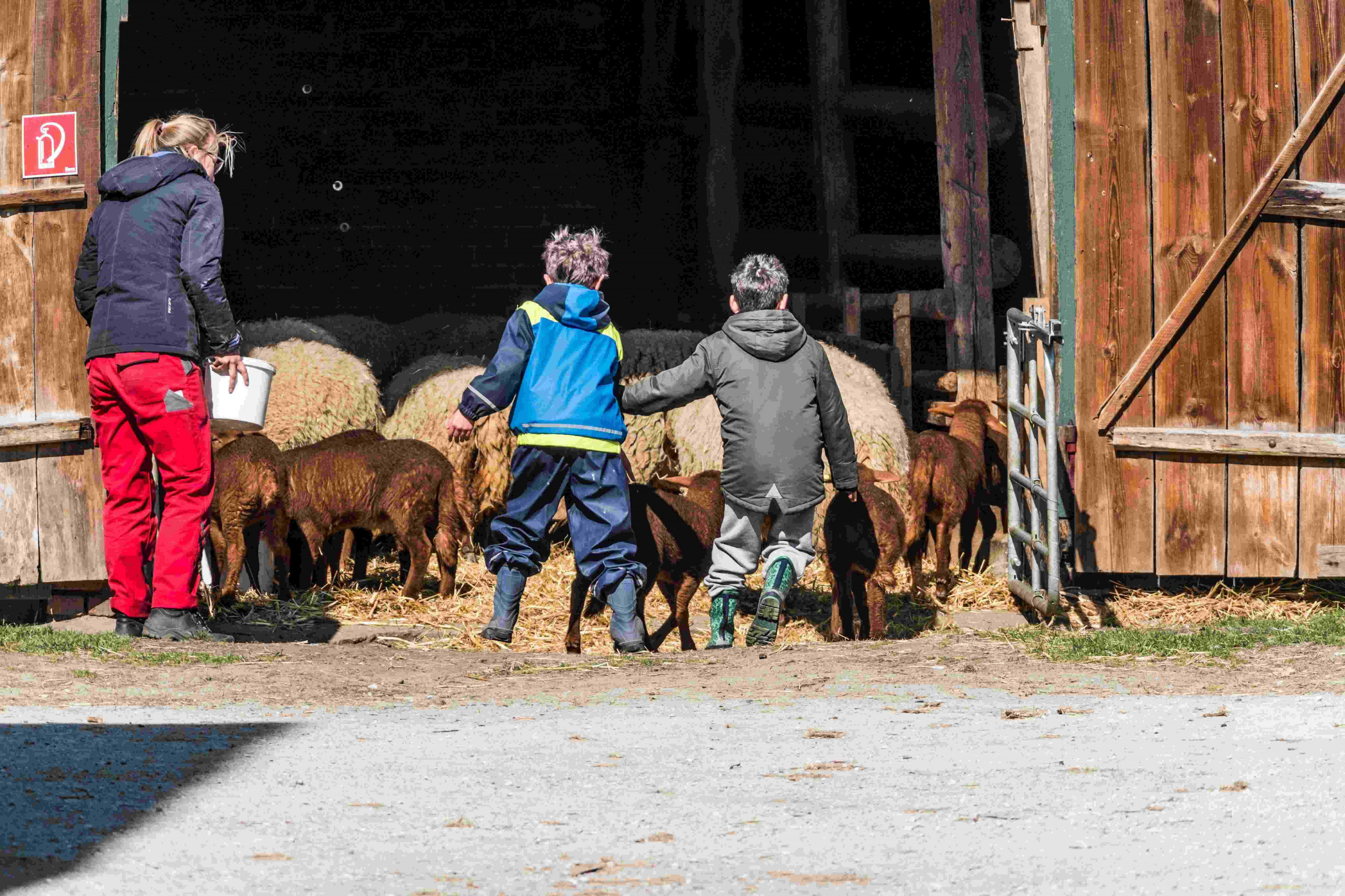 Förderverein Schulbauernhof e.V. (Schulbauernhof Ummeln)