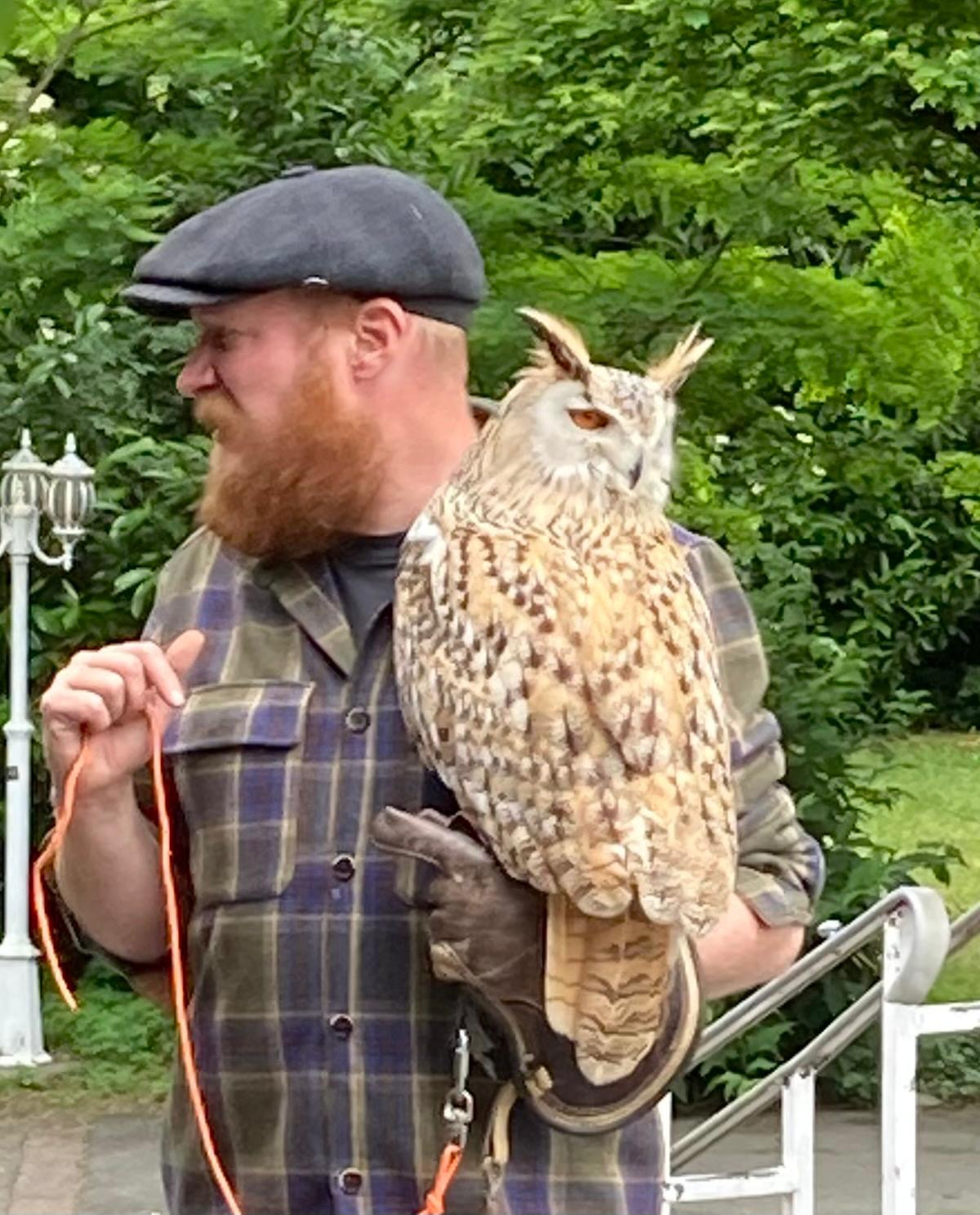 Wildvögel