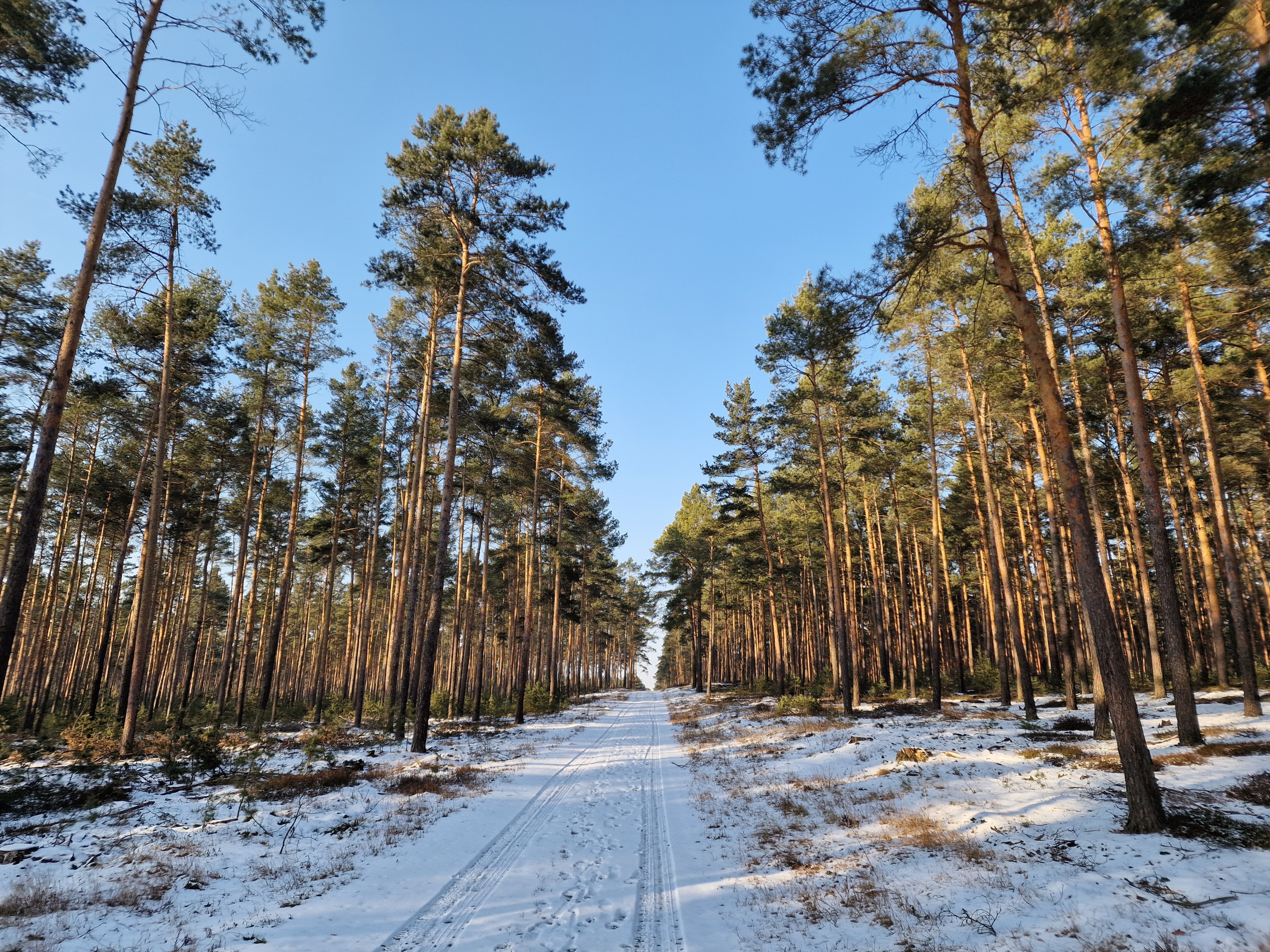 Schullandheim Jerischke
