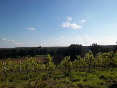 Schullandheim Jerischke