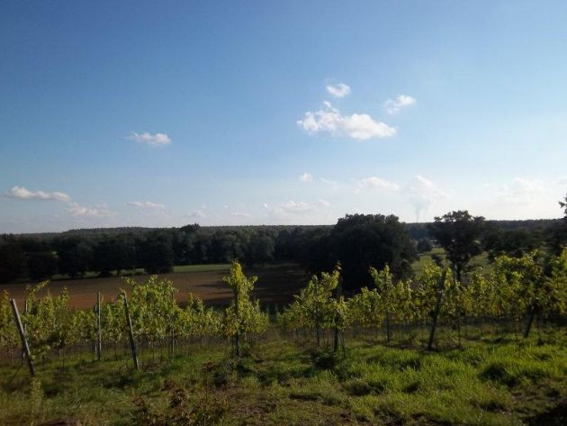 Schullandheim Jerischke