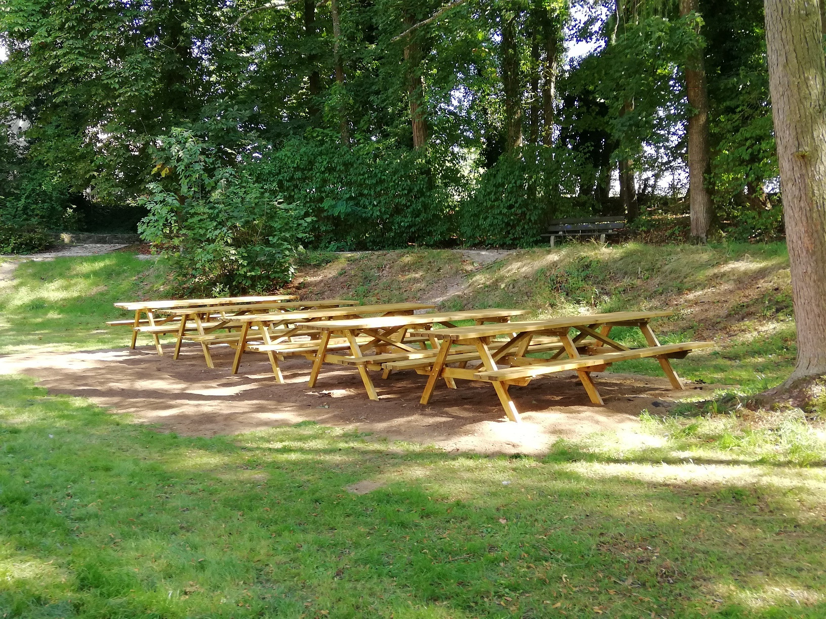 Burg Waldmannshausen