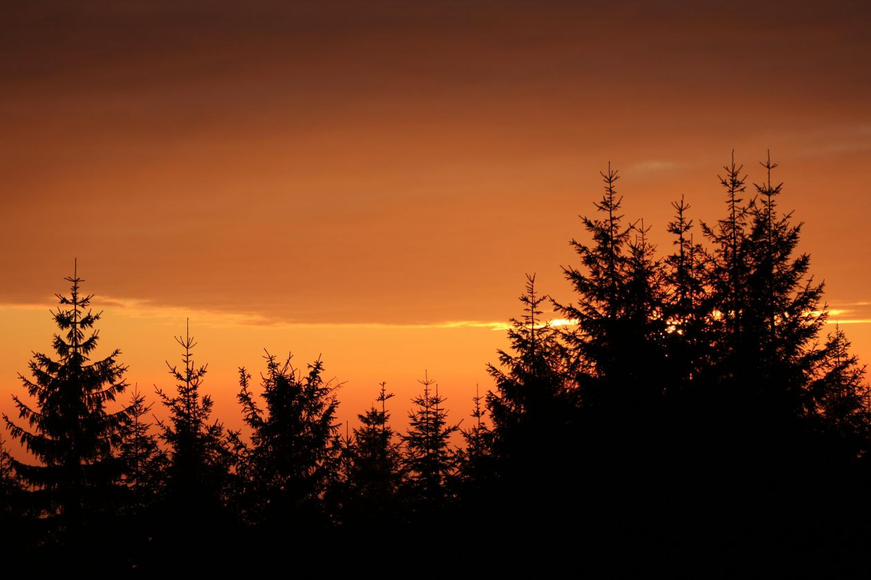 Schullandheim Luginsland