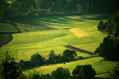 Schullandheim Luginsland