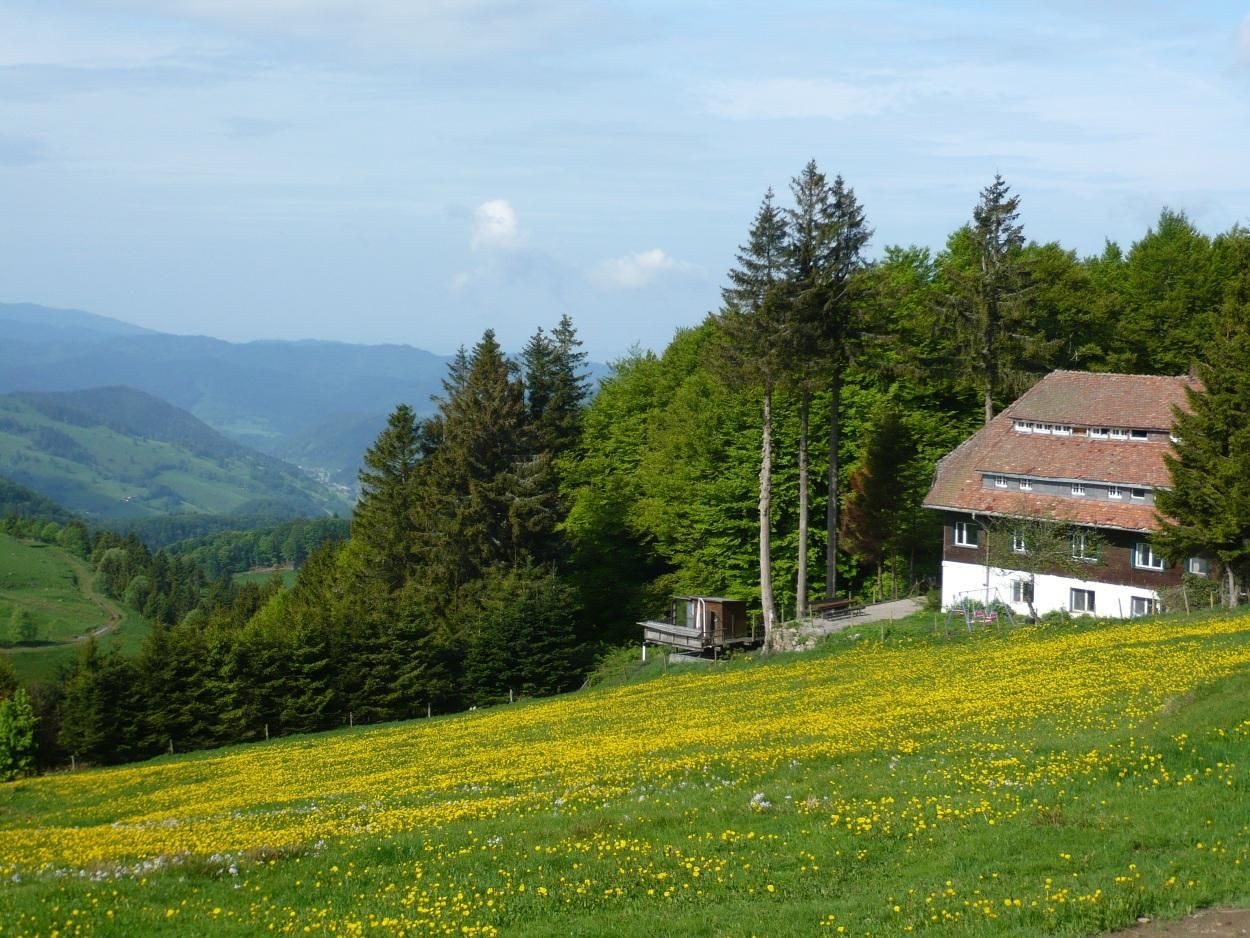 Schullandheim Luginsland