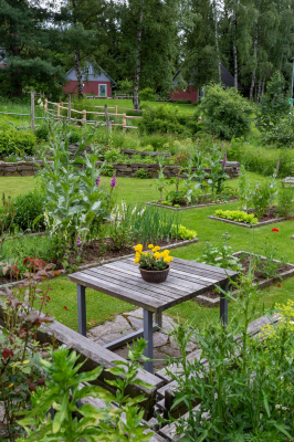 Naturschutzzentrum Erzgebirge