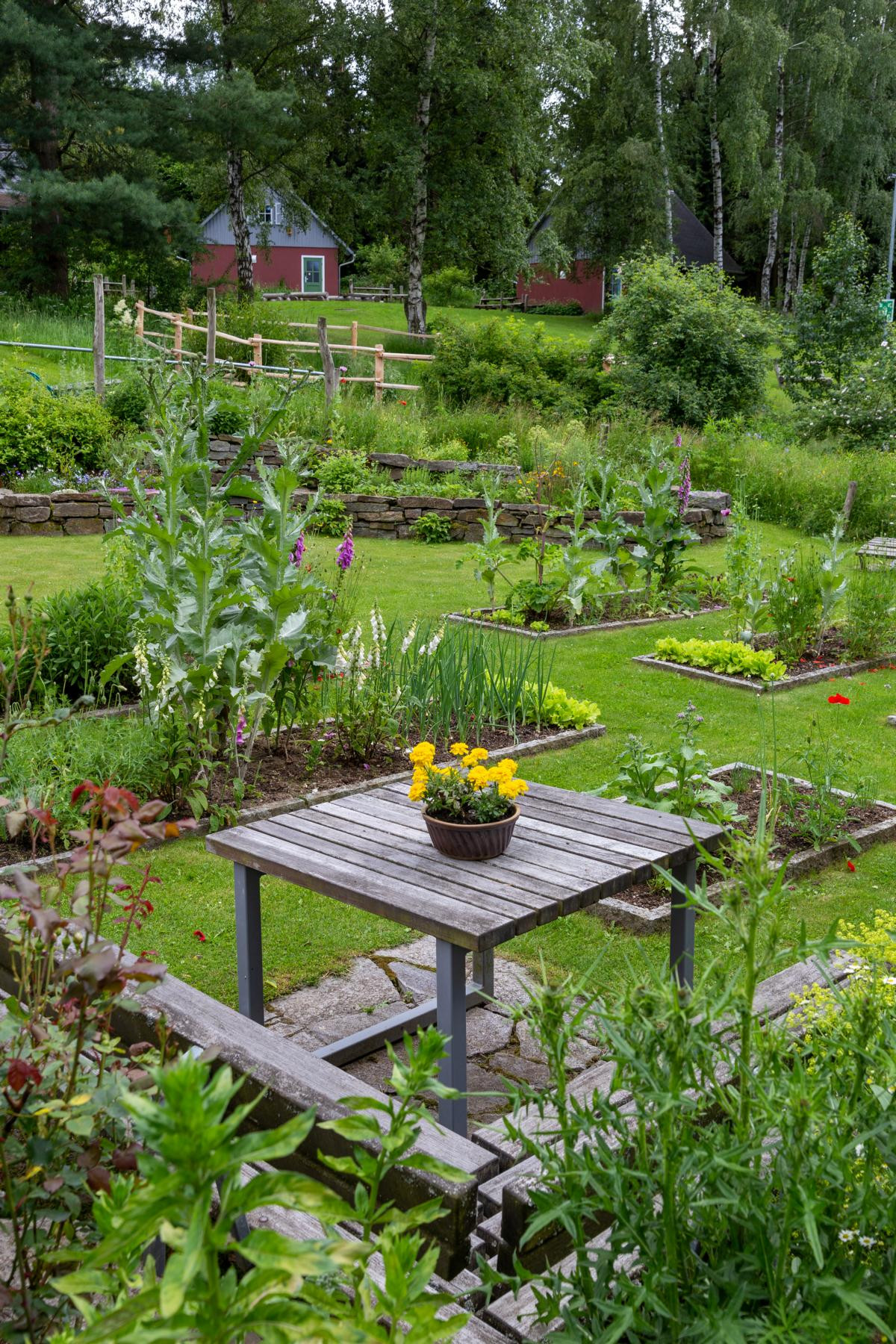 Naturschutzzentrum Erzgebirge