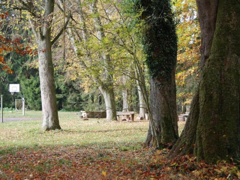 Schullandheim Niedersgegen (Schloß Bouvier)