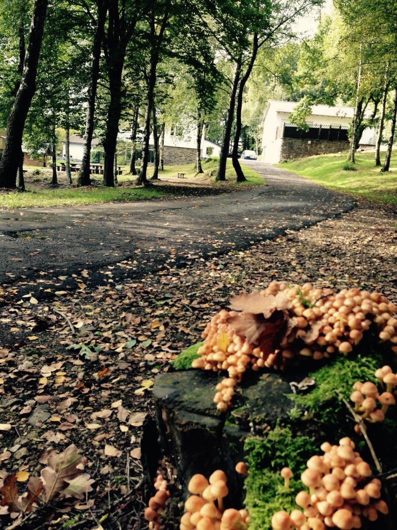 Schullandheim Kronenburg