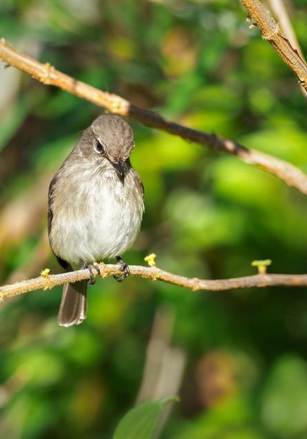 Schullandheim Stecklenberg