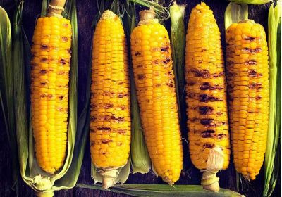 Schullandheim - NaturFreundeHaus Bodensee