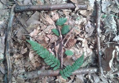 Schullandheim - NaturFreundeHaus Bodensee