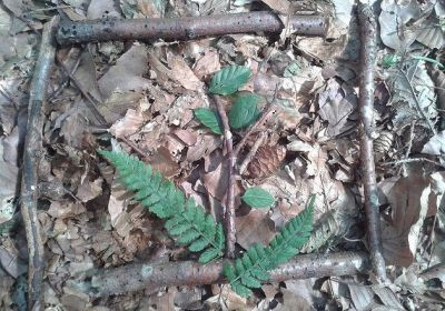 Schullandheim - NaturFreundeHaus Bodensee